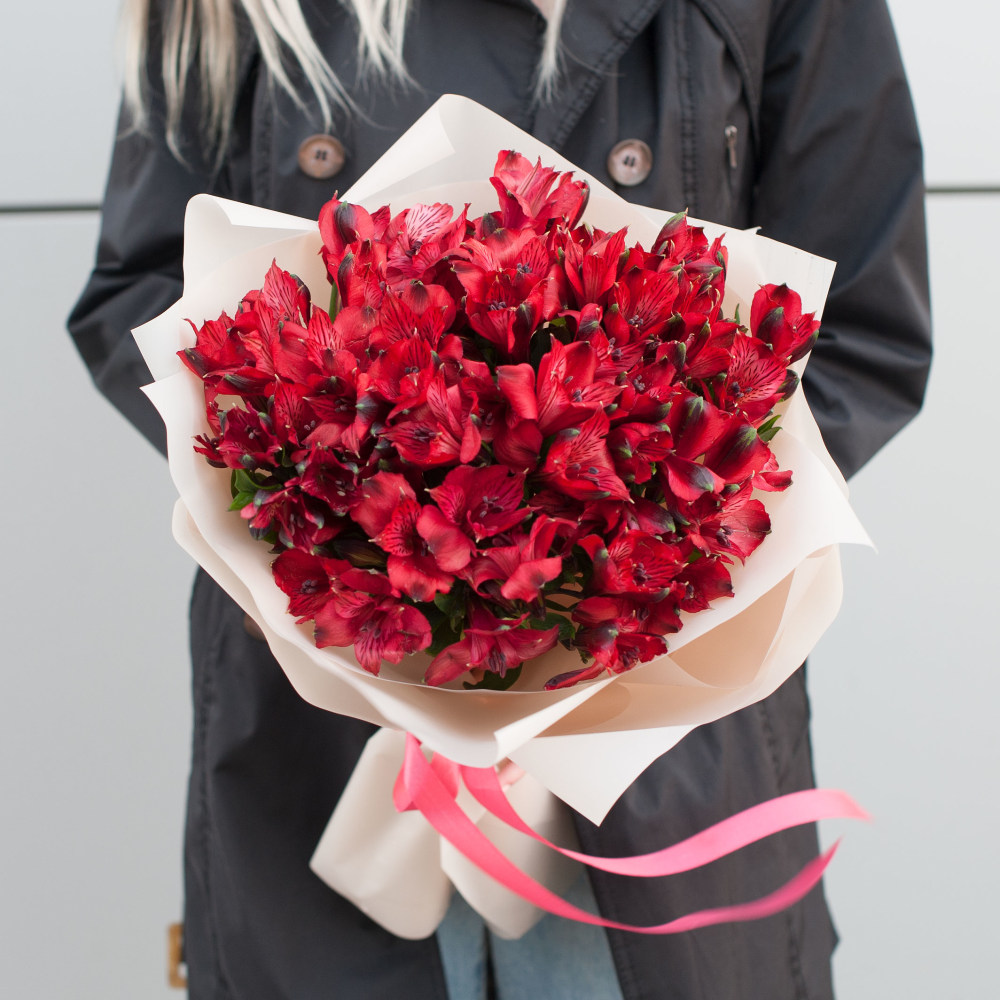 

Красная альстромерия