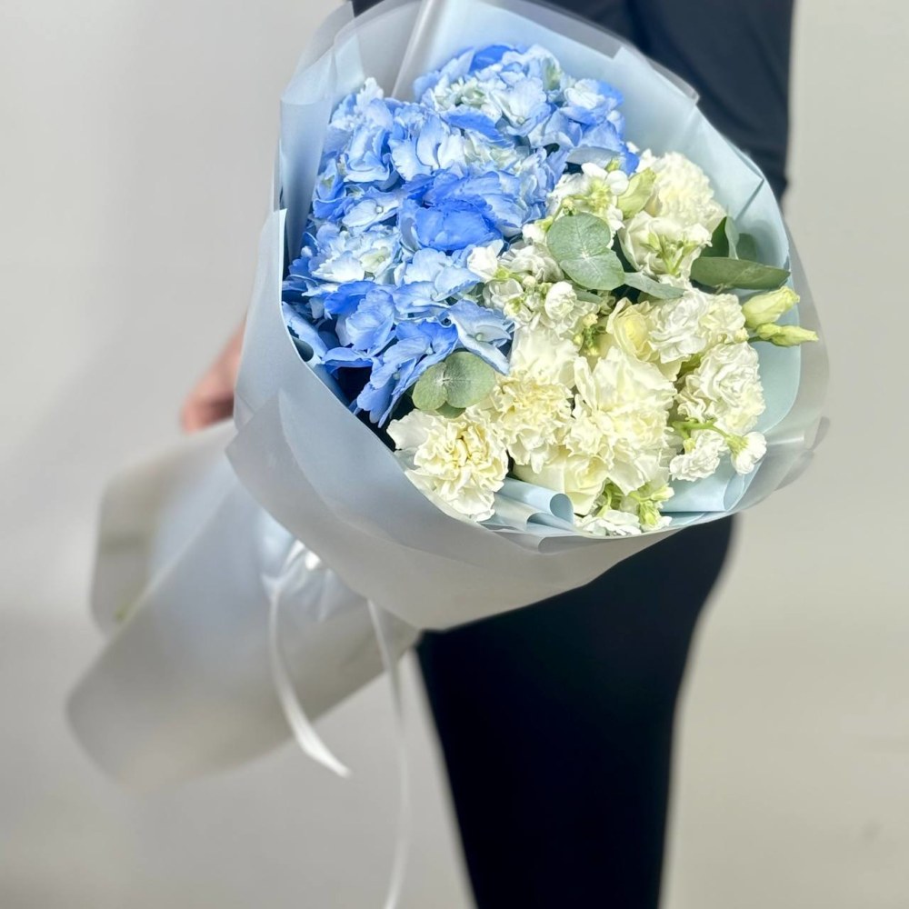 

Небесная Тишина