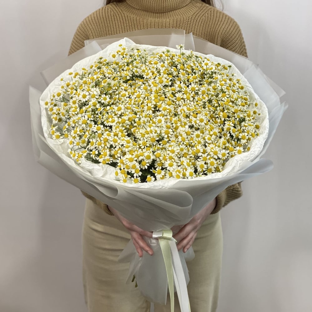 

Ромашковый сад