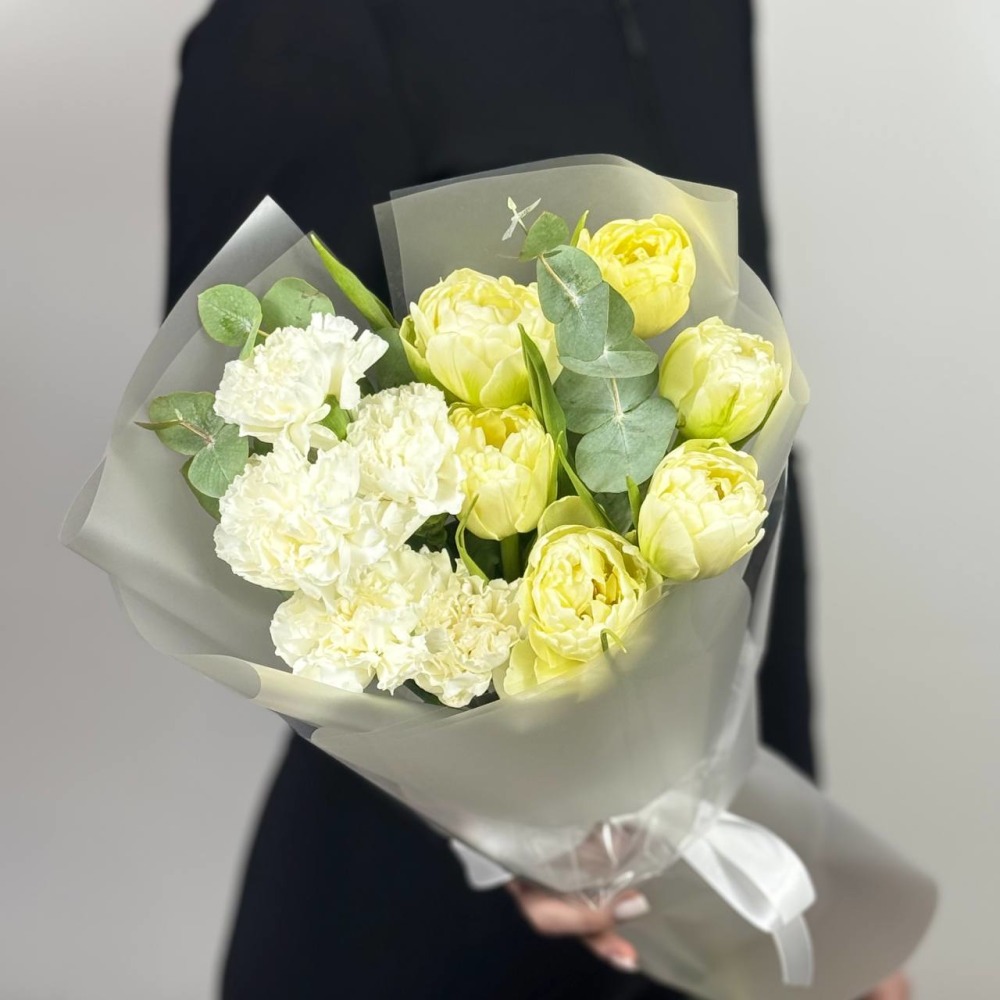 

Светлая Гармония