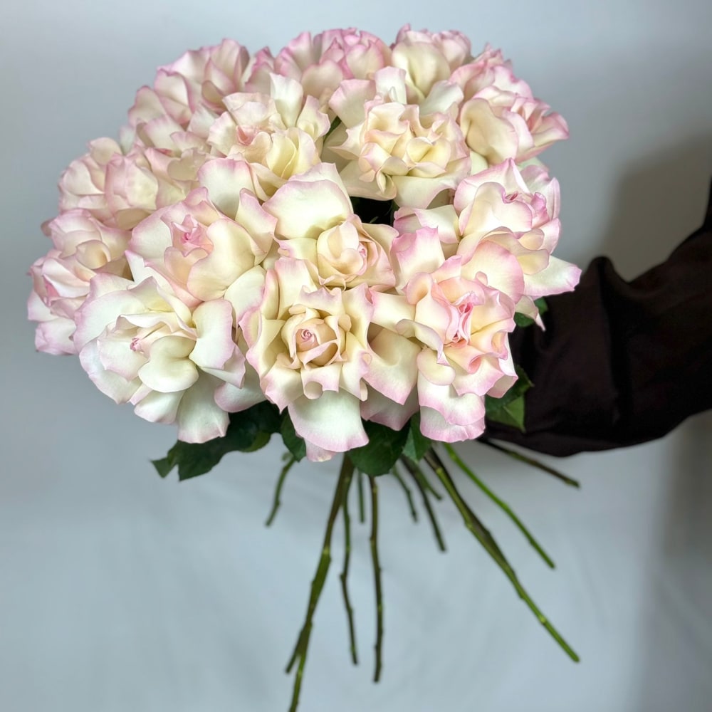 

15 светло-розовых французских роз